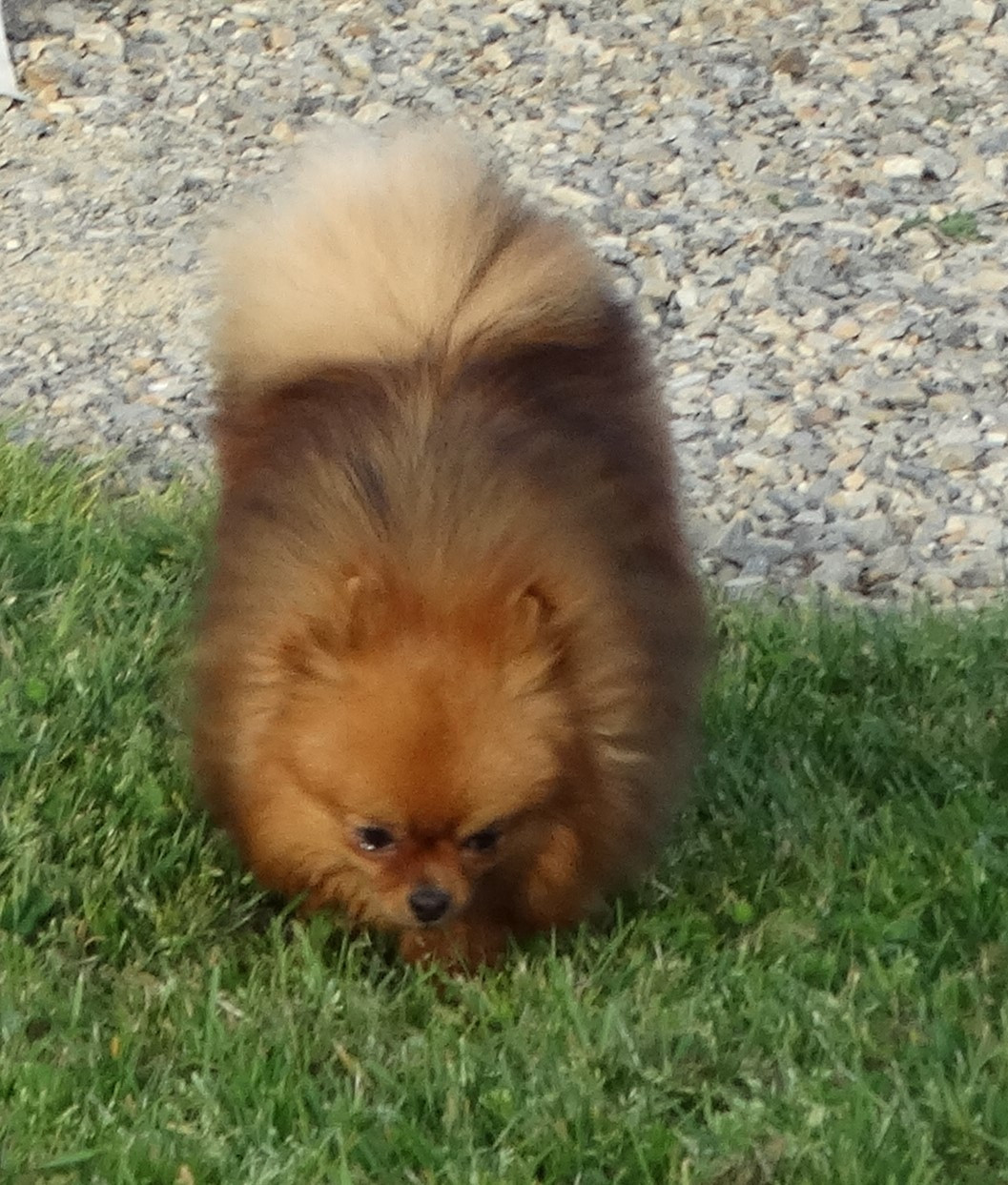 Tylwen Des Jardins De Titan