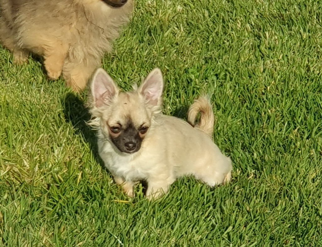 Vandy Des Jardins De Titan