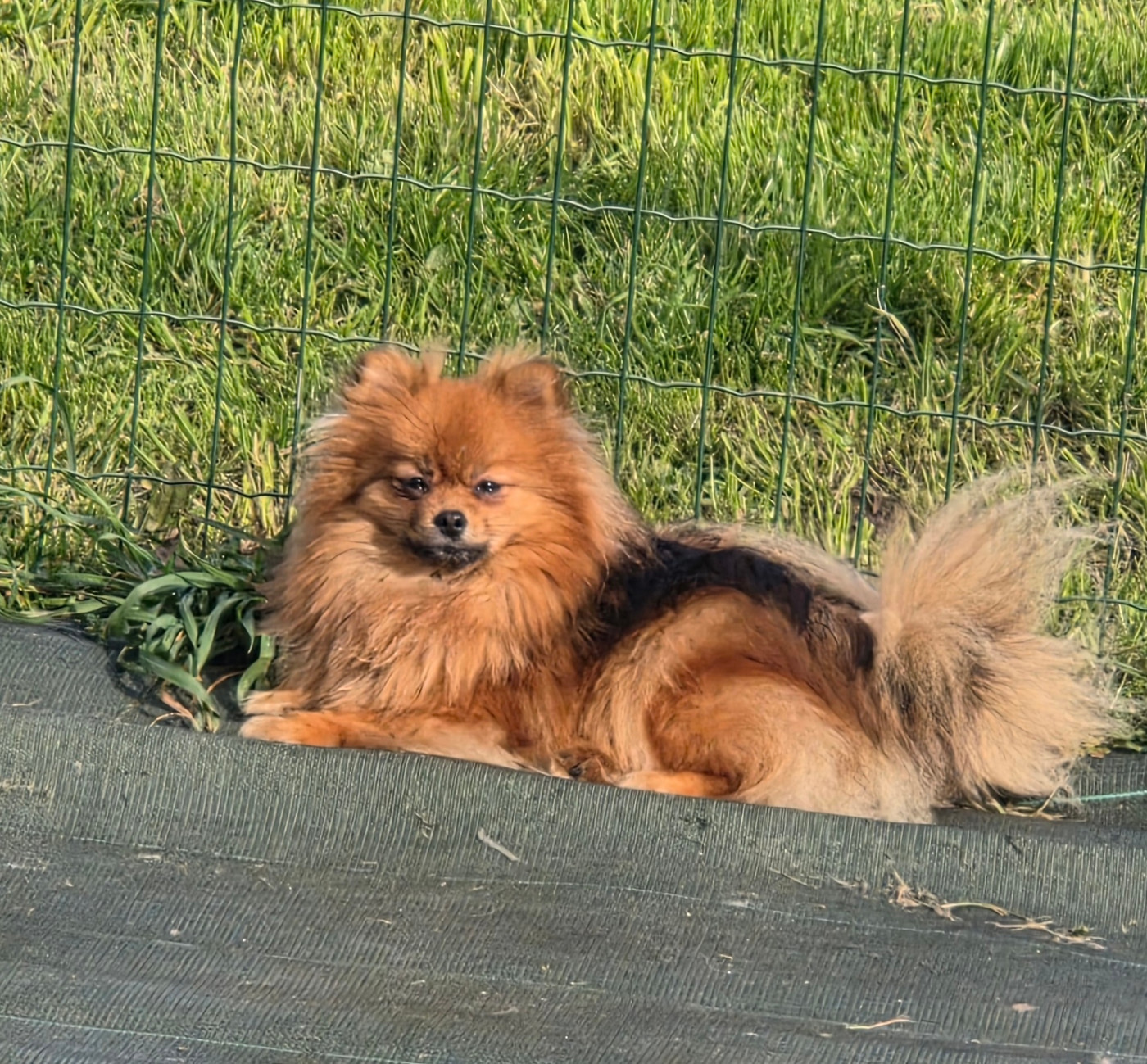 Valtra Des Jardins De Titan