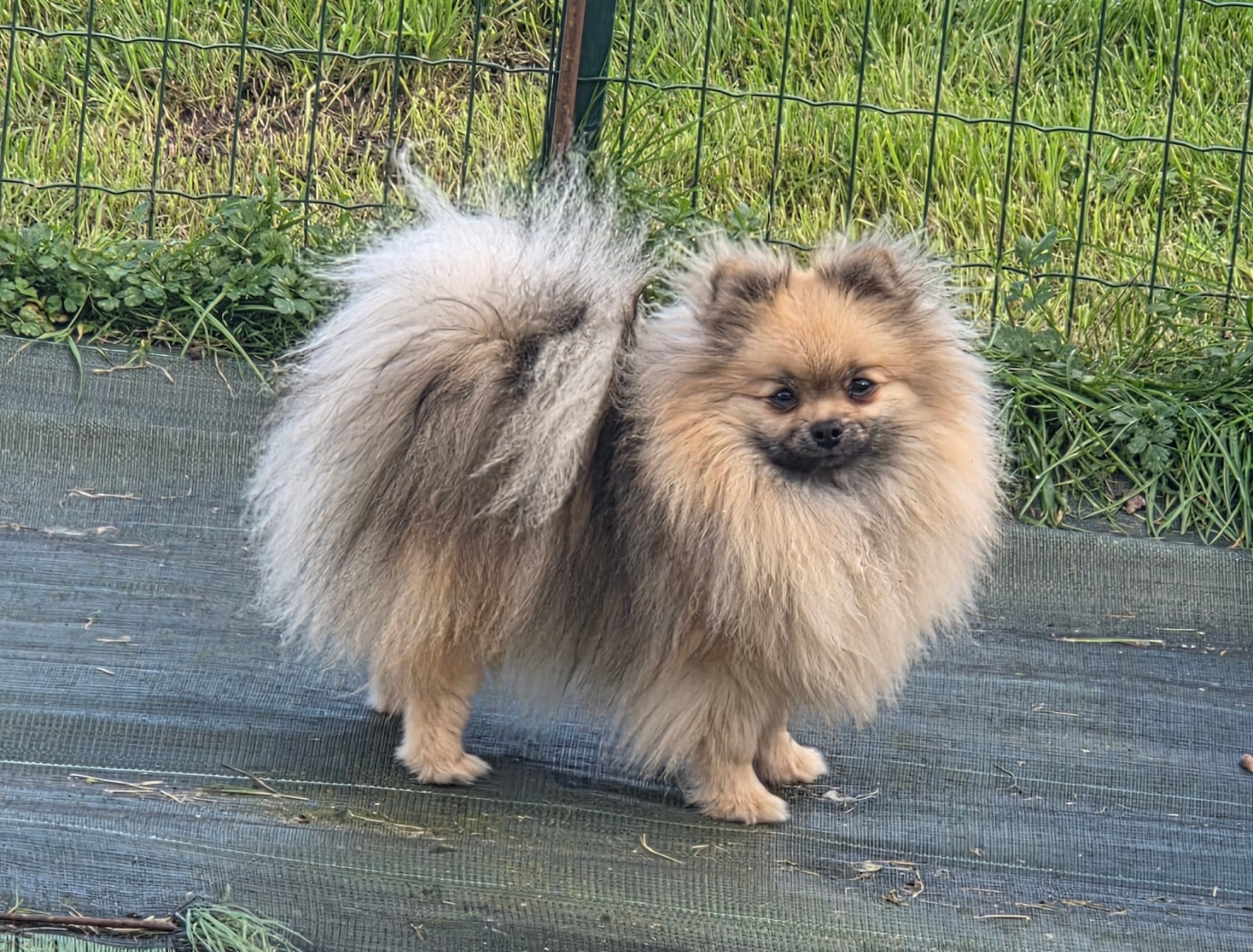 Victoire Des Jardins De Titan