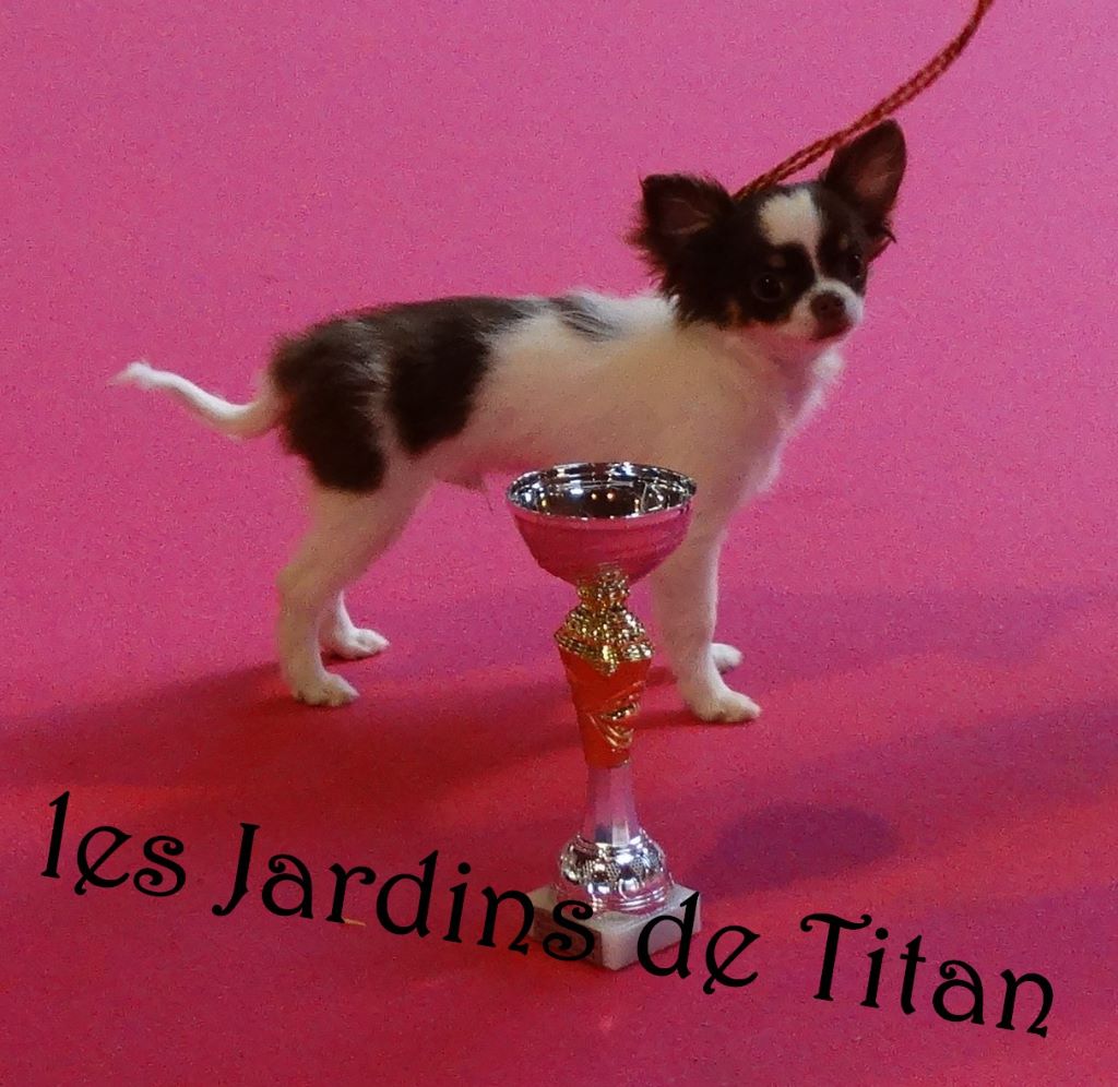 Des Jardins De Titan - 2017-02-25 Bourges NE